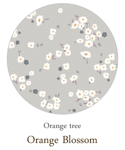 08 Orange Blossom : 오렌지 블라섬
