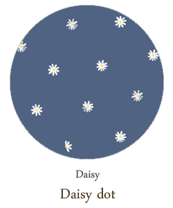 14 daisy dot : 데이지 도트